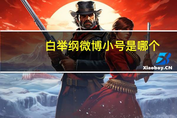白举纲微博小号是哪个(白举纲微博)