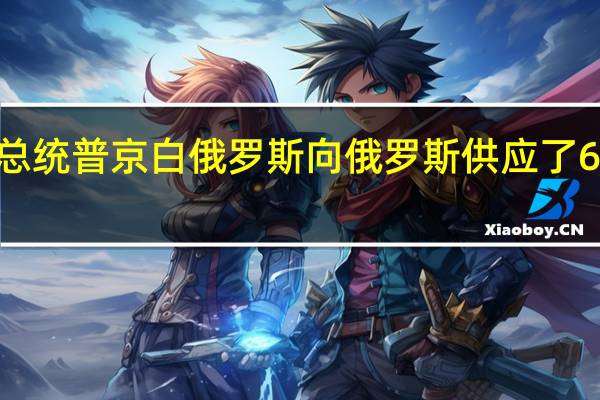 白俄罗斯总统卢卡申科告诉俄罗斯总统普京白俄罗斯向俄罗斯供应了6万吨柴油和6万吨汽油并准备增加供应量(国际文传电讯社)