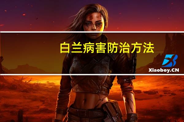 白兰病害防治方法：以防为主