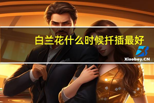 白兰花什么时候扦插最好