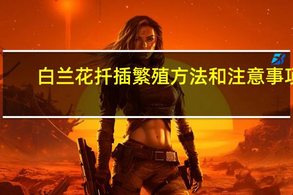 白兰花扦插繁殖方法和注意事项