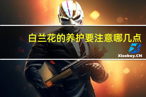白兰花的养护要注意哪几点：既不耐旱也不耐湿
