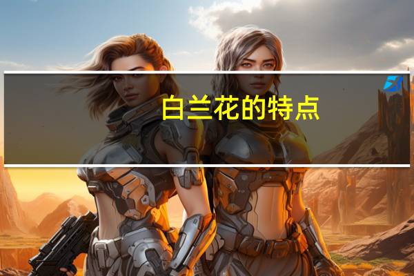 白兰花的特点