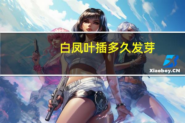 白凤叶插多久发芽