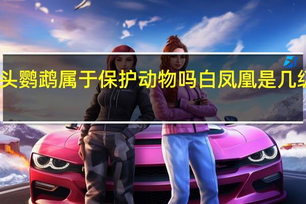 白凤头鹦鹉属于保护动物吗 白凤凰是几级保护动物