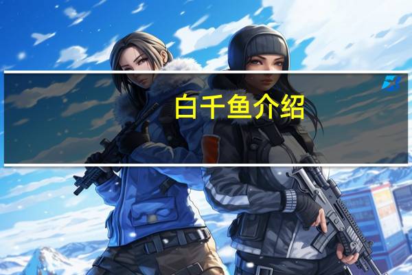 白千鱼介绍