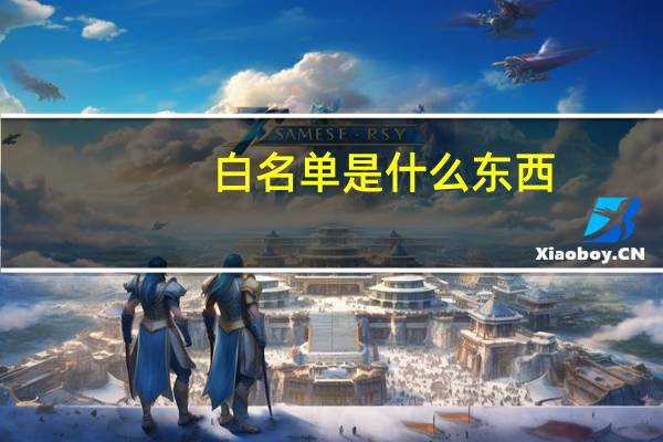 白名单是什么东西（白名单是什么意思）