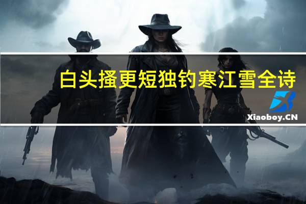 白头搔更短独钓寒江雪全诗
