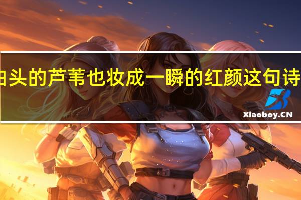 白头的芦苇也妆成一瞬的红颜这句诗的理解