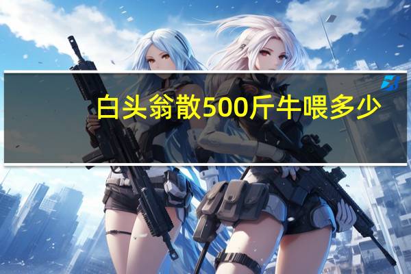 白头翁散500斤牛喂多少