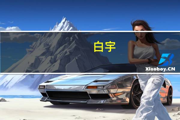 白宇(关于白宇的介绍)