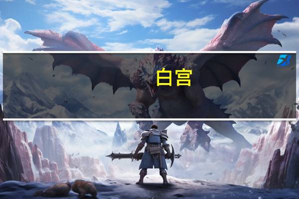 白宫:已有至少20名美国人在以色列失踪