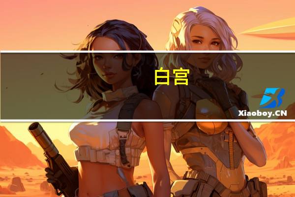 白宫：政府敦促国会批准资金作为未来几周两党全面协议的一部分