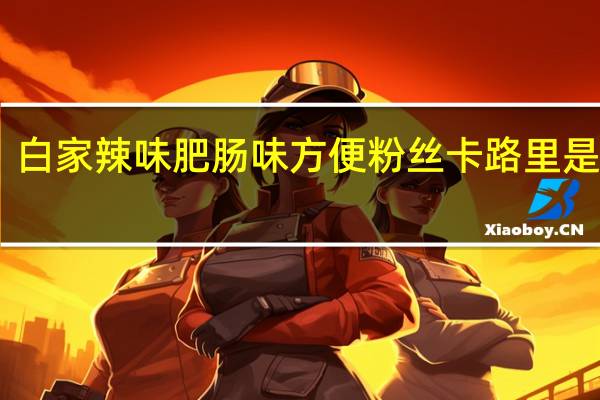 白家 辣味肥肠味方便粉丝卡路里是多少