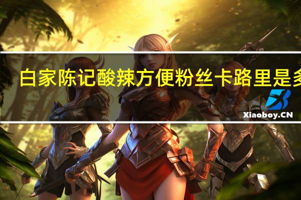 白家陈记 酸辣方便粉丝卡路里是多少