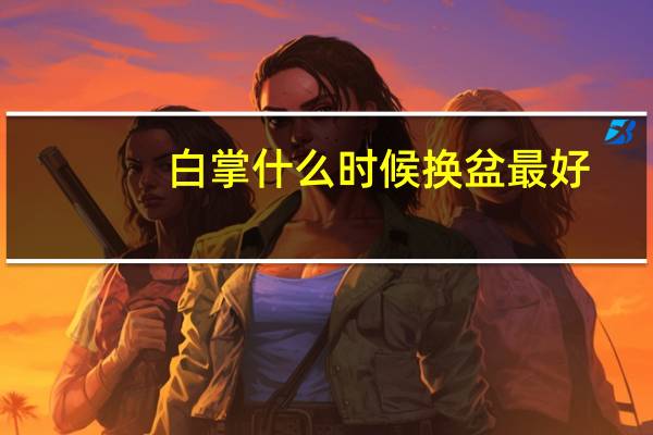 白掌什么时候换盆最好