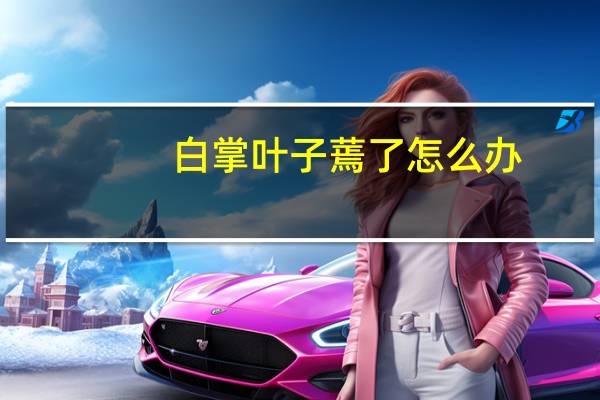 白掌叶子蔫了怎么办