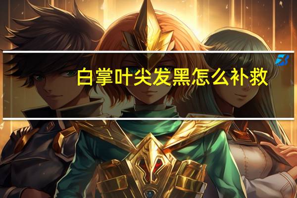 白掌叶尖发黑怎么补救
