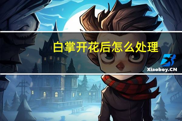 白掌开花后怎么处理
