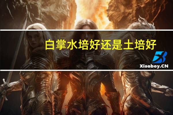 白掌水培好还是土培好