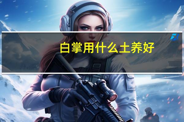 白掌用什么土养好