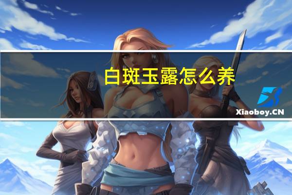 白斑玉露怎么养