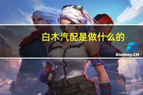 白木汽配是做什么的