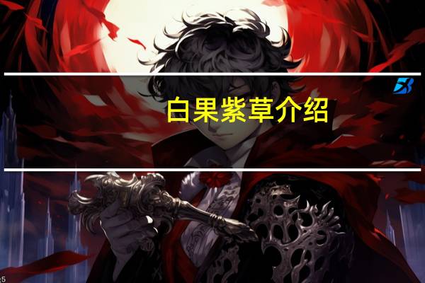 白果紫草介绍