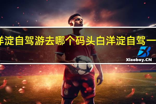 白洋淀自驾游去哪个码头 白洋淀自驾一日游攻略