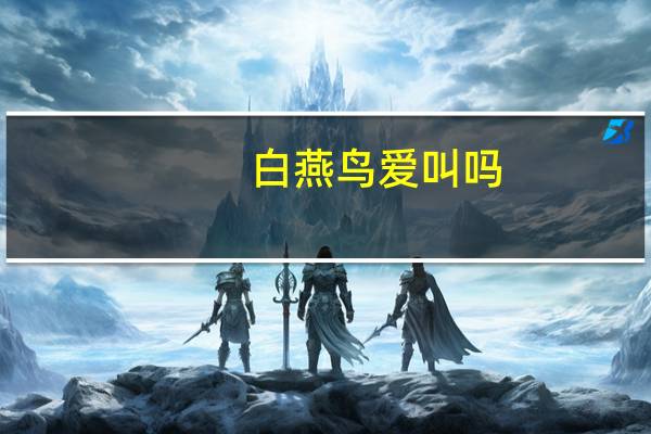 白燕鸟爱叫吗