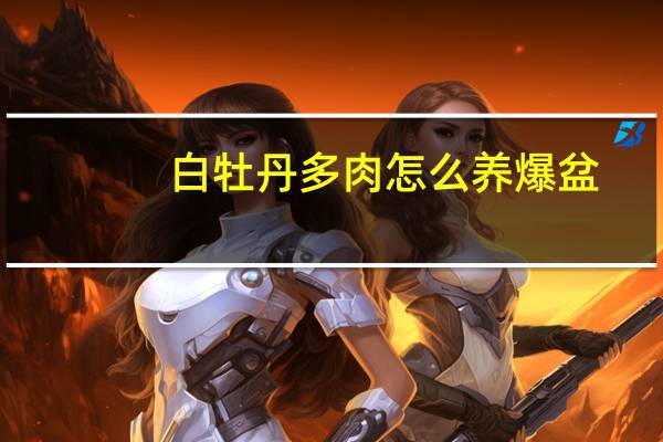 白牡丹多肉怎么养爆盆