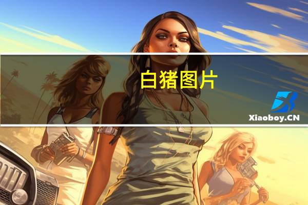 白猪图片（白猪）