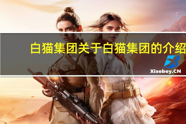 白猫集团 关于白猫集团的介绍
