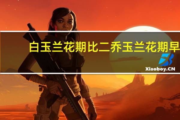 白玉兰花期比二乔玉兰花期早（白玉兰花期）