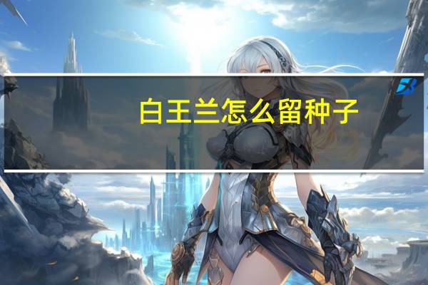 白王兰怎么留种子