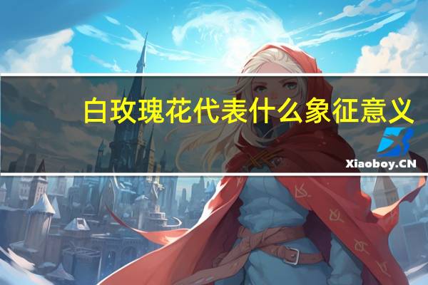 白玫瑰花代表什么象征意义