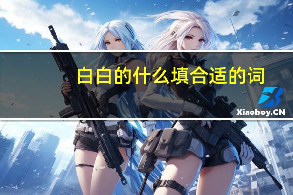 白白的什么填合适的词