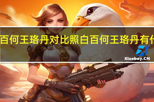白百何王珞丹对比照 白百何王珞丹有什么关系