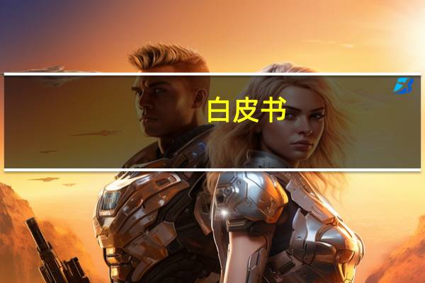 白皮书：推进高质量共建“一带一路”行稳致远 