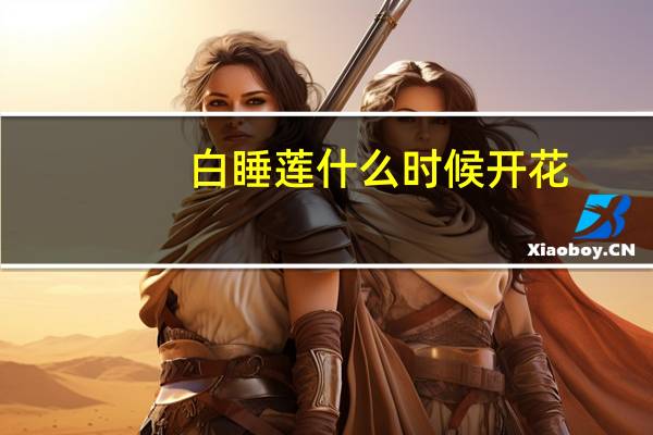 白睡莲什么时候开花