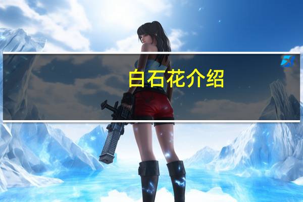 白石花介绍