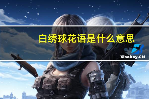 白绣球花语是什么意思