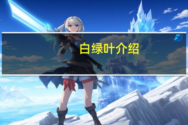 白绿叶介绍