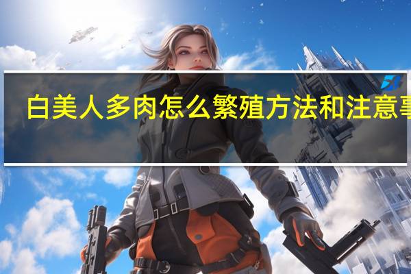 白美人多肉怎么繁殖方法和注意事项