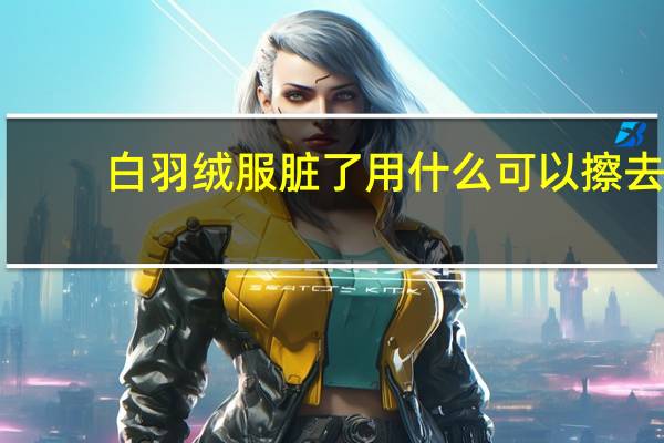 白羽绒服脏了用什么可以擦去