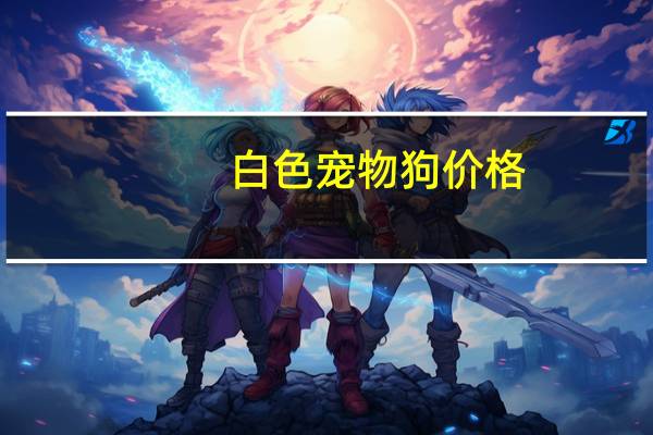 白色宠物狗价格