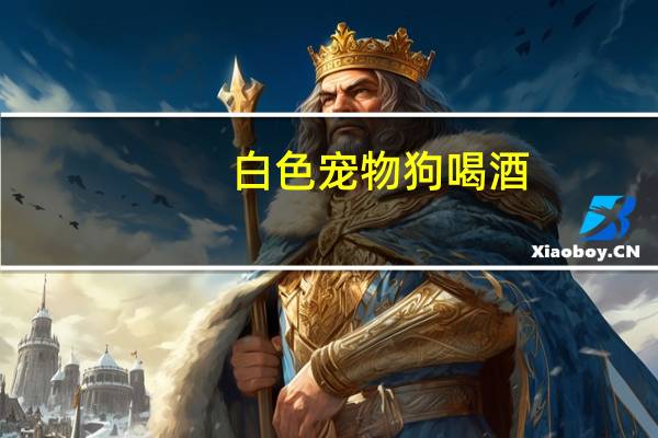 白色宠物狗喝酒