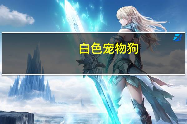 白色宠物狗