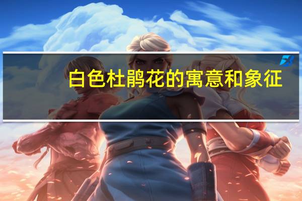 白色杜鹃花的寓意和象征