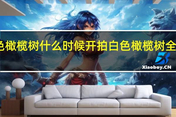 白色橄榄树什么时候开拍 白色橄榄树全阵容官宣